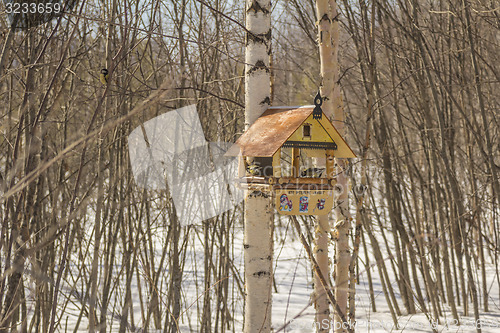 Image of Feeders for birds   