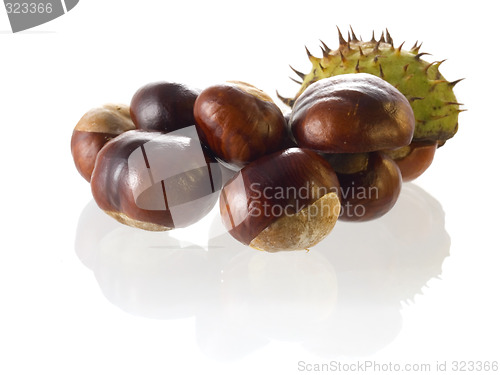 Image of chestnut