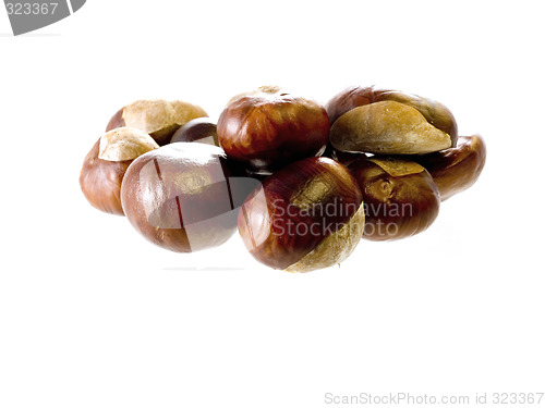 Image of chestnut