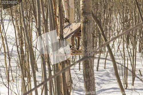 Image of Feeders for birds   