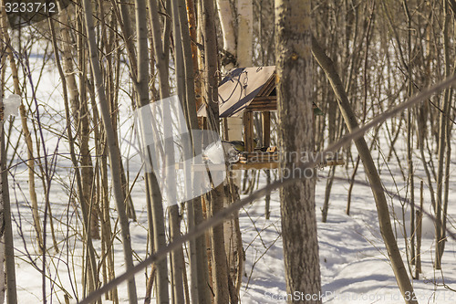 Image of Feeders for birds   