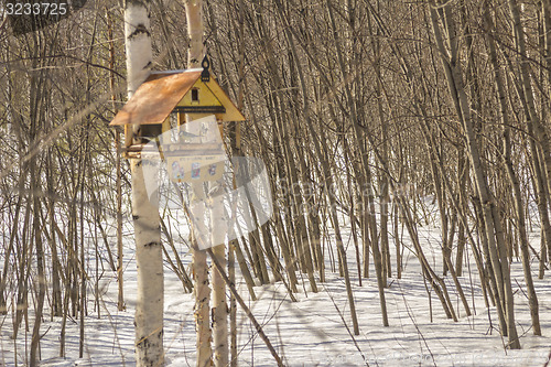 Image of Feeders for birds   