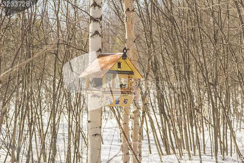 Image of Feeders for birds   