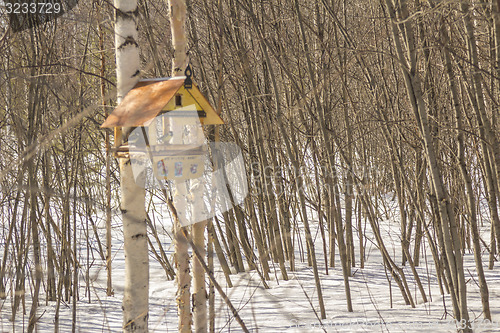 Image of Feeders for birds   