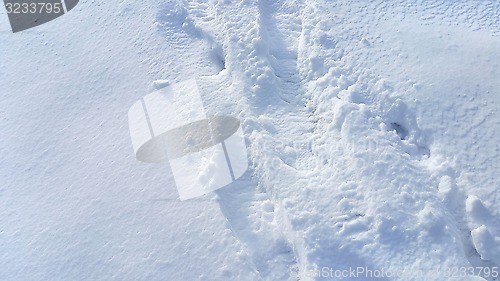 Image of Footsteps on the snow