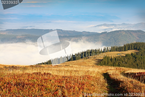 Image of giumalau mountain landscape