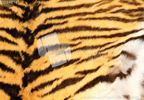 Image of detailed texture of real tiger fur