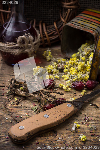 Image of medicinal herb