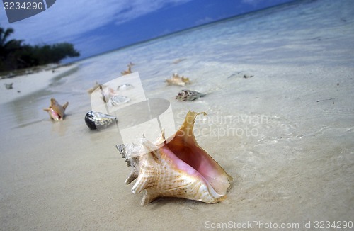 Image of AMERICA CARIBBIAN SEA DOMINICAN REPUBLIC