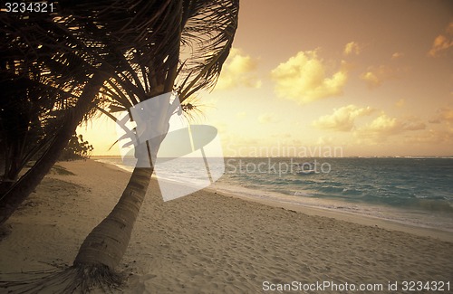 Image of AMERICA CARIBBIAN SEA DOMINICAN REPUBLIC