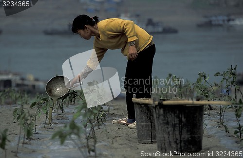 Image of ASIA CHINA YANGZI RIVER