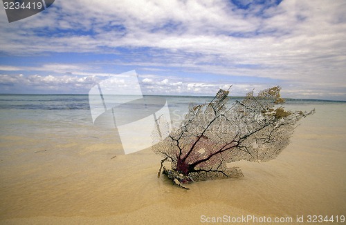 Image of AMERICA CARIBBIAN SEA DOMINICAN REPUBLIC