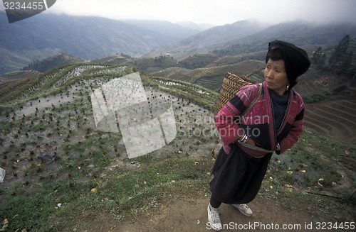 Image of ASIA CHINA  GUANGXI LONGSHENG 