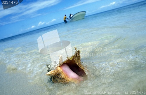 Image of AMERICA CARIBBIAN SEA DOMINICAN REPUBLIC