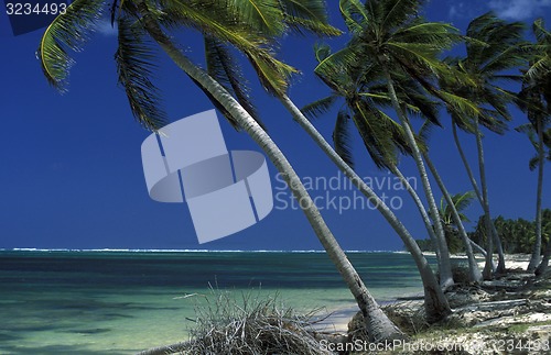 Image of AMERICA CARIBBIAN SEA DOMINICAN REPUBLIC