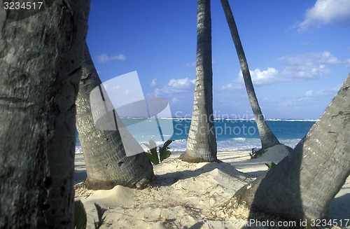 Image of AMERICA CARIBBIAN SEA DOMINICAN REPUBLIC