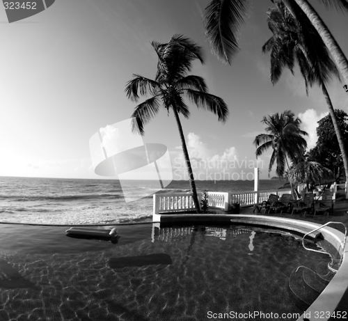 Image of infinity swimming pool nicaragua black & white