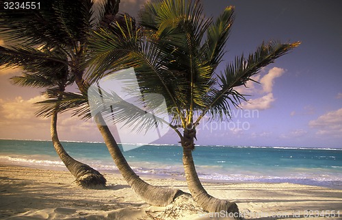 Image of AMERICA CARIBBIAN SEA DOMINICAN REPUBLIC