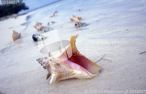 Image of AMERICA CARIBBIAN SEA DOMINICAN REPUBLIC