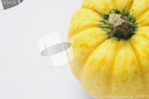 Image of yellow ornamental squash