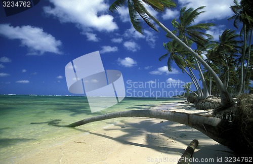 Image of AMERICA CARIBBIAN SEA DOMINICAN REPUBLIC