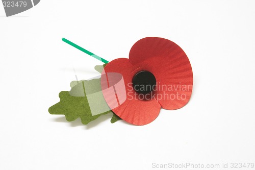 Image of poppy