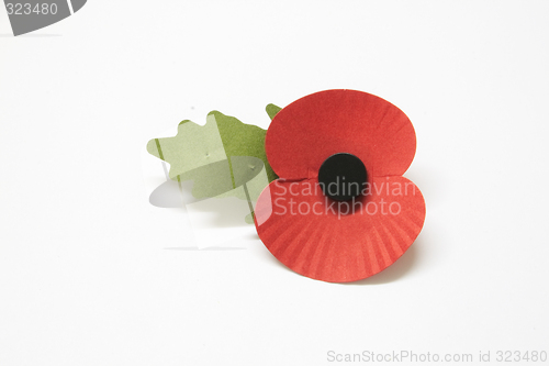 Image of poppy