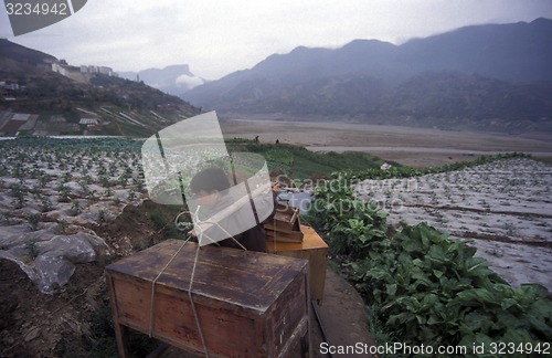 Image of ASIA CHINA YANGZI RIVER