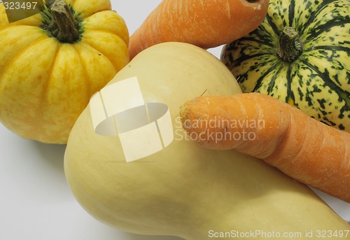 Image of squashes and carrots