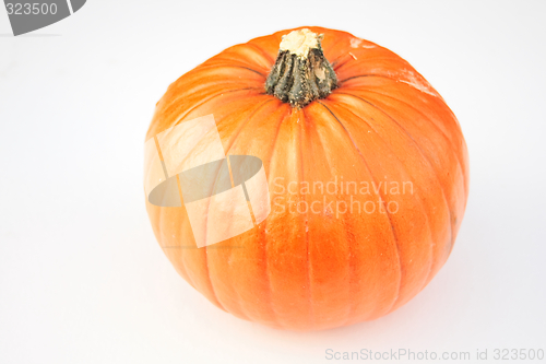 Image of pumpkin