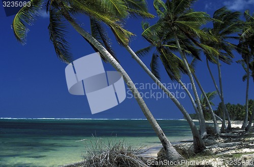 Image of AMERICA CARIBBIAN SEA DOMINICAN REPUBLIC