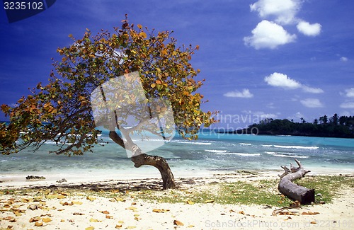 Image of AMERICA CARIBBIAN SEA DOMINICAN REPUBLIC