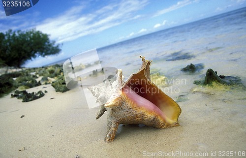 Image of AMERICA CARIBBIAN SEA DOMINICAN REPUBLIC