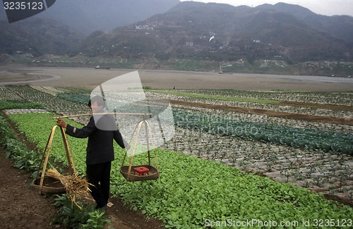 Image of ASIA CHINA YANGZI RIVER