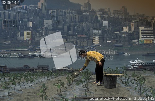 Image of ASIA CHINA YANGZI RIVER