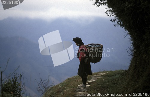 Image of ASIA CHINA  GUANGXI LONGSHENG 