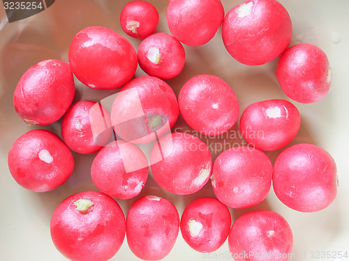 Image of Radish vegetable 