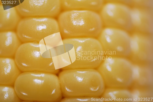 Image of Corn