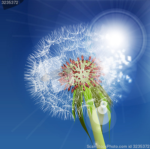 Image of Dandelion seeds blown in the blue sky.