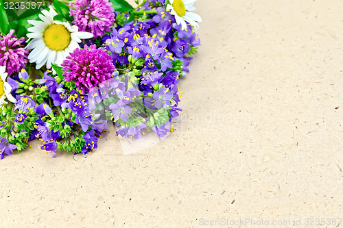 Image of Wild flowers on brown paper