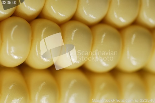 Image of Corn closeup