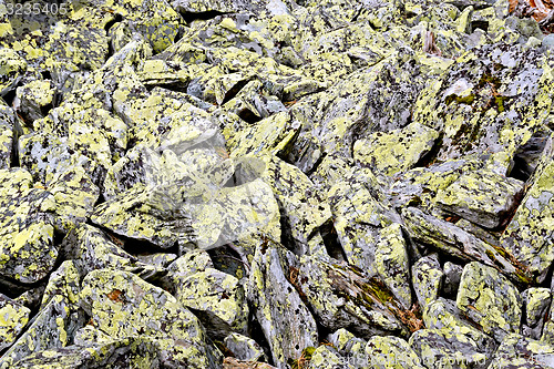 Image of Stones with yellow mold