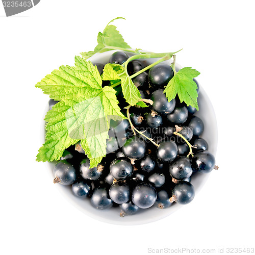 Image of Black currants in bowl with leaf on top