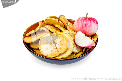 Image of Apple fresh and slices of dried in bowl