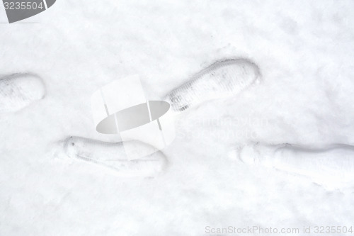 Image of Tracks person in snow