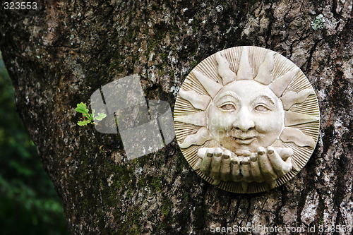 Image of Ceramic garden