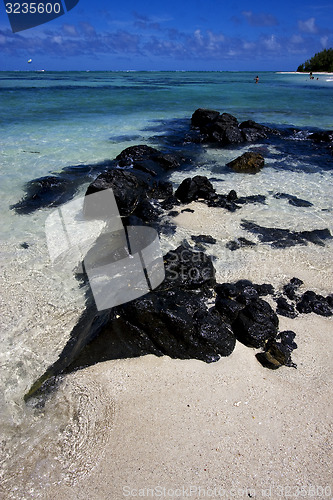 Image of  man and parachute in ile du cerfs