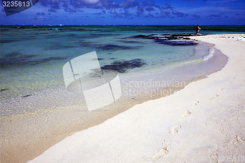 Image of  footstep in ile du cerfs mauritius