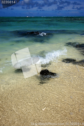 Image of  ile du cerfs mauritius