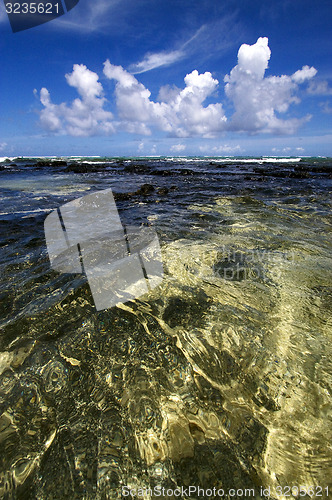 Image of  stone in ile du cerfs mauritius